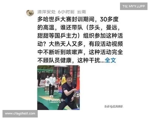 乒乓球历史上的传奇时刻 王励勤八连冠背后的故事与意义 乒乓球历史上的传奇时刻 王励勤八连冠背后的故事与意义