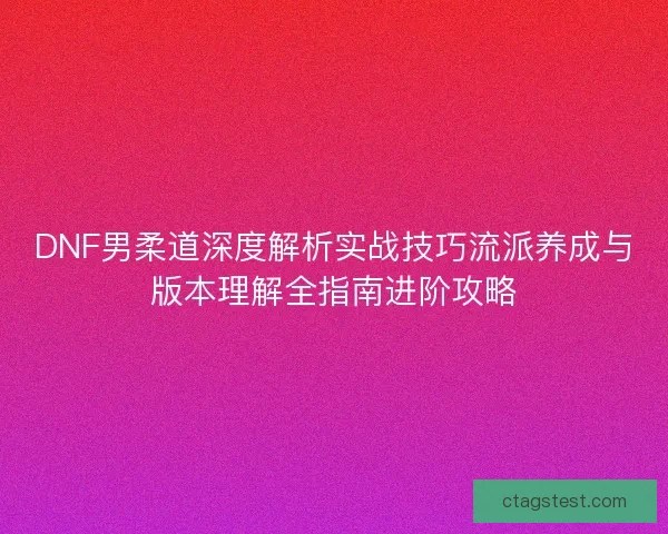 DNF男柔道深度解析实战技巧流派养成与版本理解全指南进阶攻略