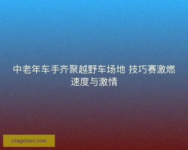 中老年车手齐聚越野车场地 技巧赛激燃速度与激情