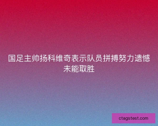 国足主帅扬科维奇表示队员拼搏努力遗憾未能取胜